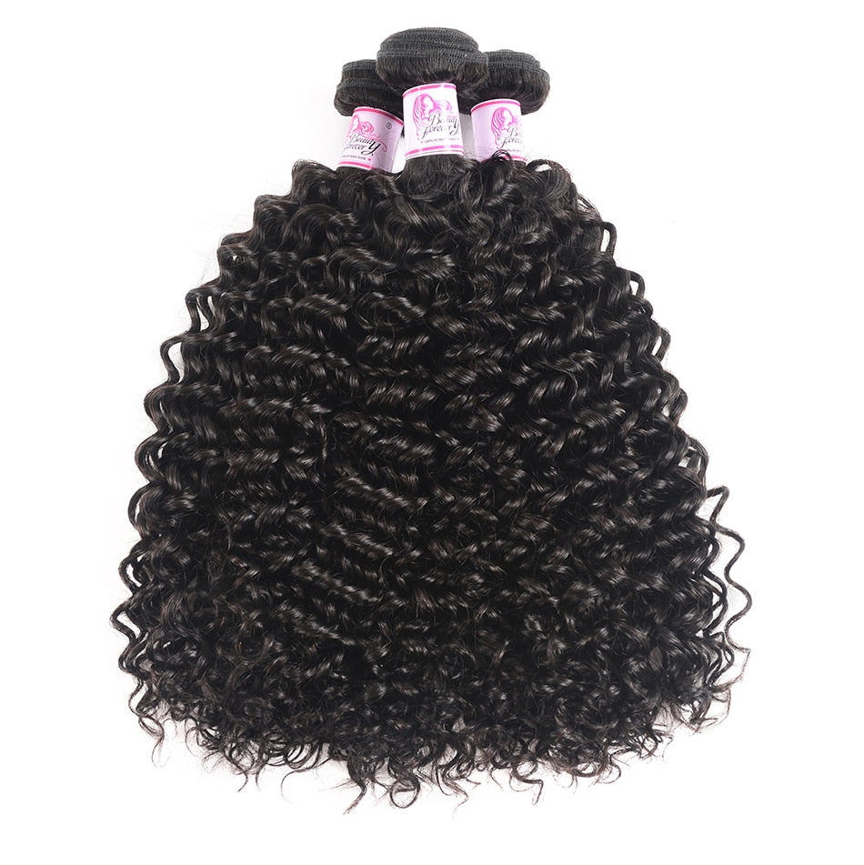 Malaysian Curly Human Hair